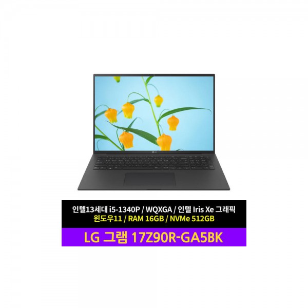 LG전자 그램17 17Z90R-GA5BK